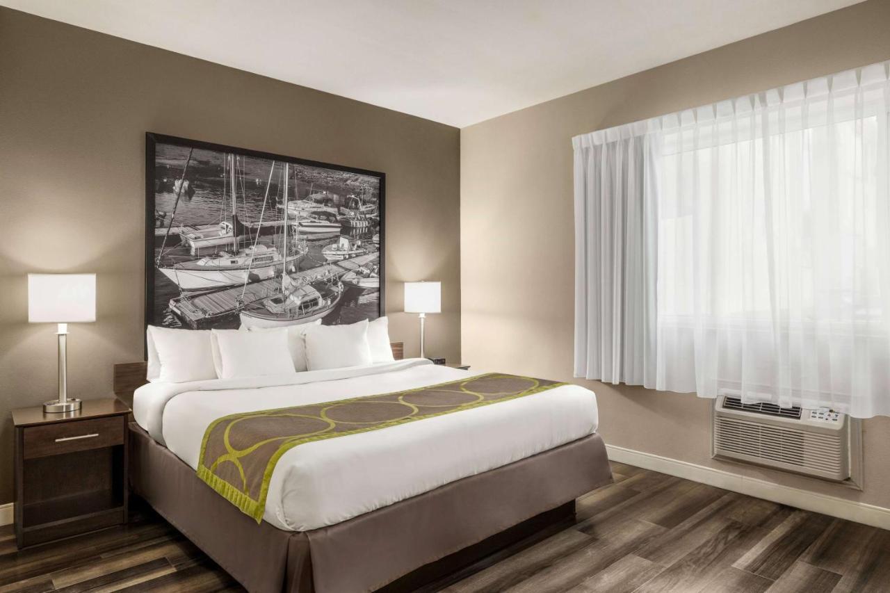 מלון Super 8 By Wyndham Sarnia On מראה חיצוני תמונה